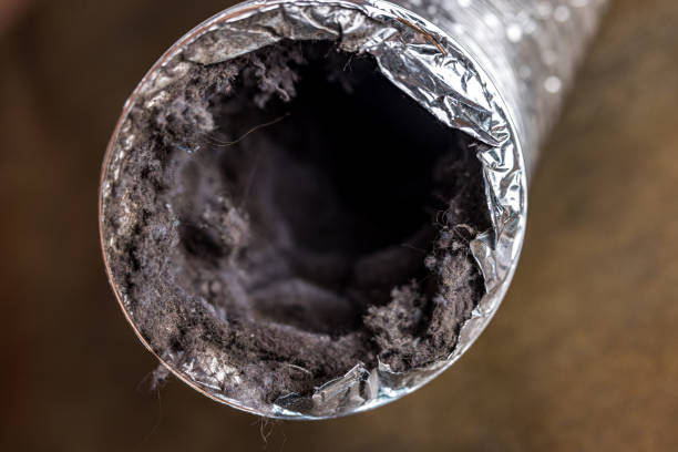 Best Air Duct Cleaning Near Me  in Baldwin City, KS